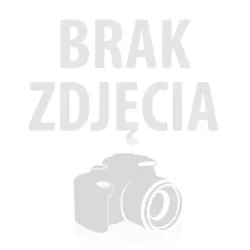Koszulka Anime Dragon Ball Trening Saiyana, Goku, Vegeta DBZ Siła, Pasja